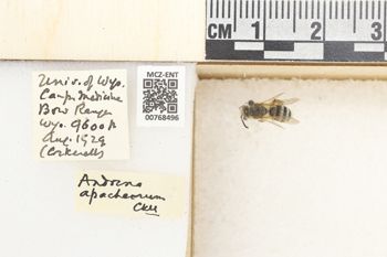 Media type: image;   Entomology 768496 Aspect: Labels